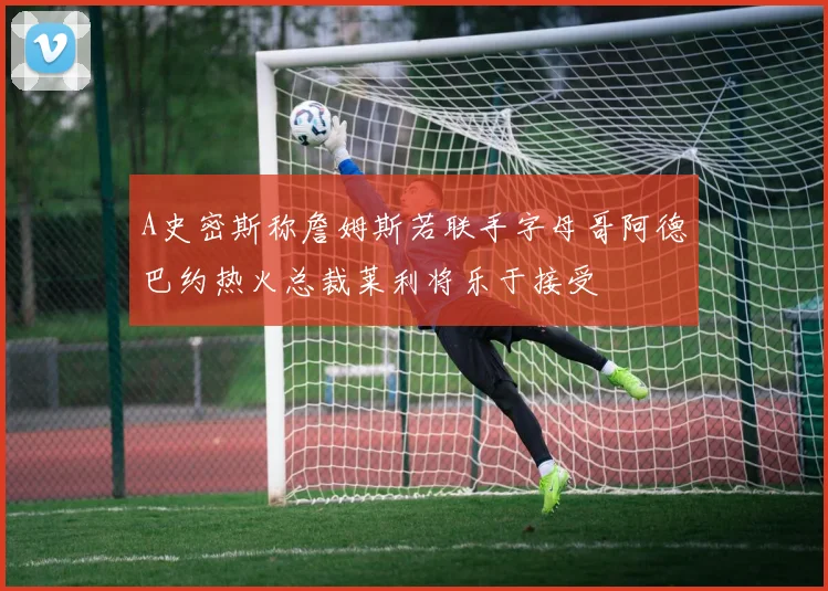 A史密斯称詹姆斯若联手字母哥阿德巴约热火总裁莱利将乐于接受
